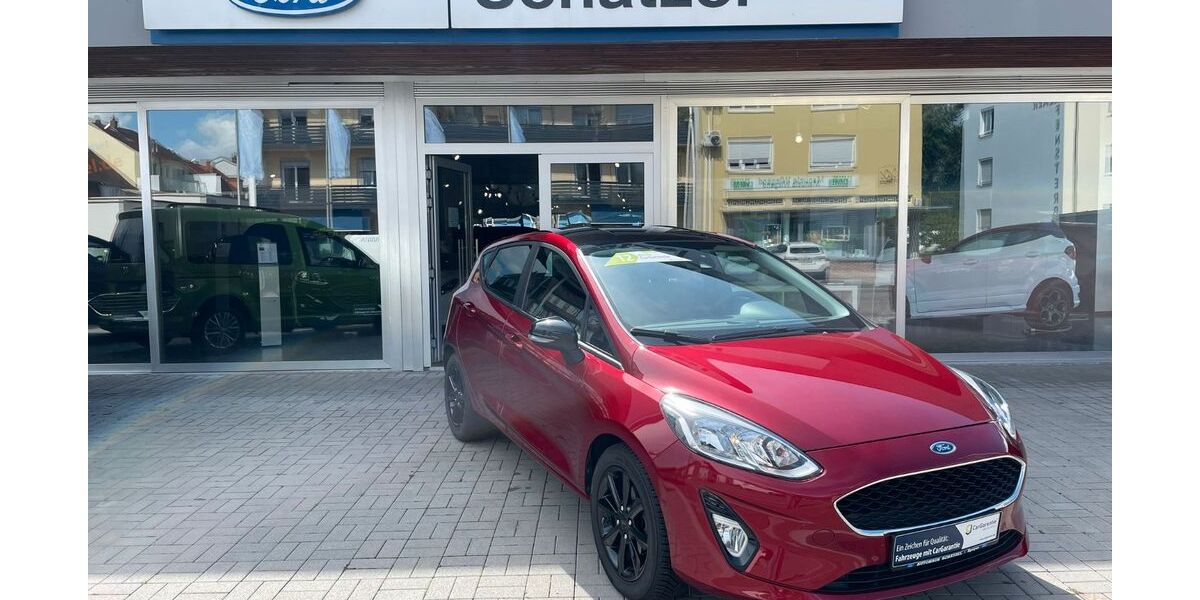 Ford Fiesta 103.410 km 9.900 &euro; Speyer 67346