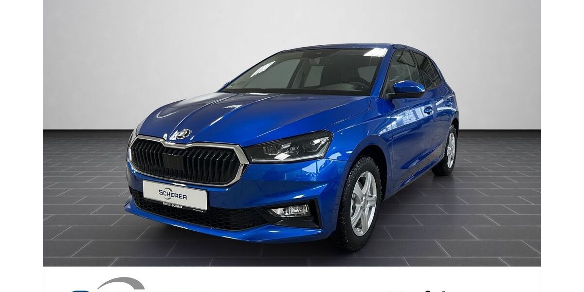 Skoda Fabia 4.900 km 26.490 &euro; Mannheim 68167