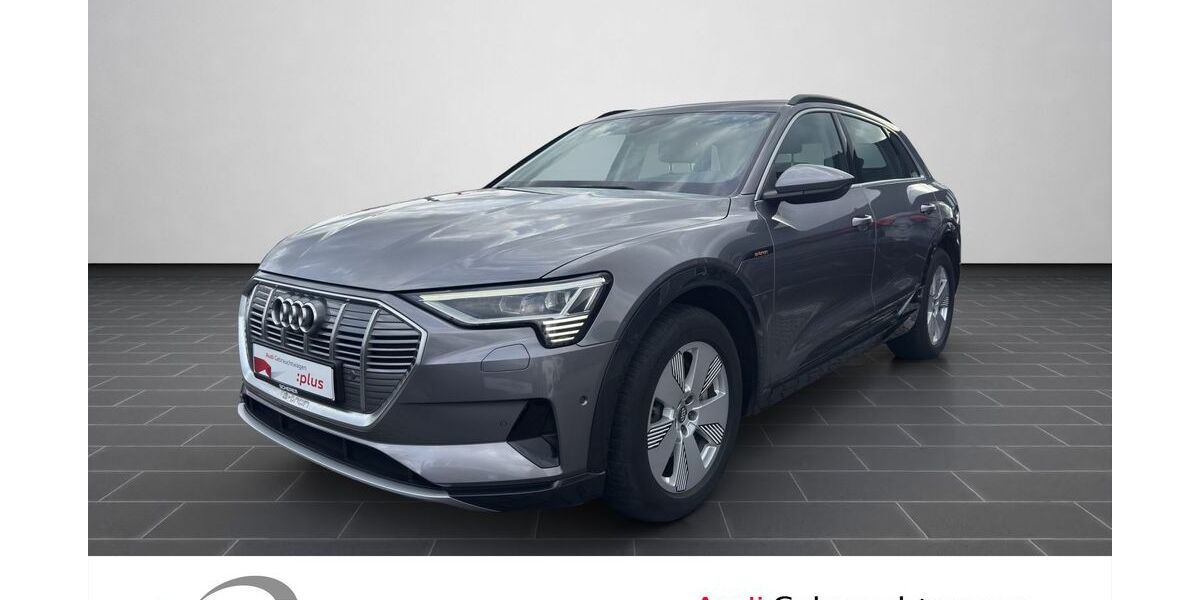 Audi e-tron 45.792 km 24.400 &euro; Ludwigshafen 67063