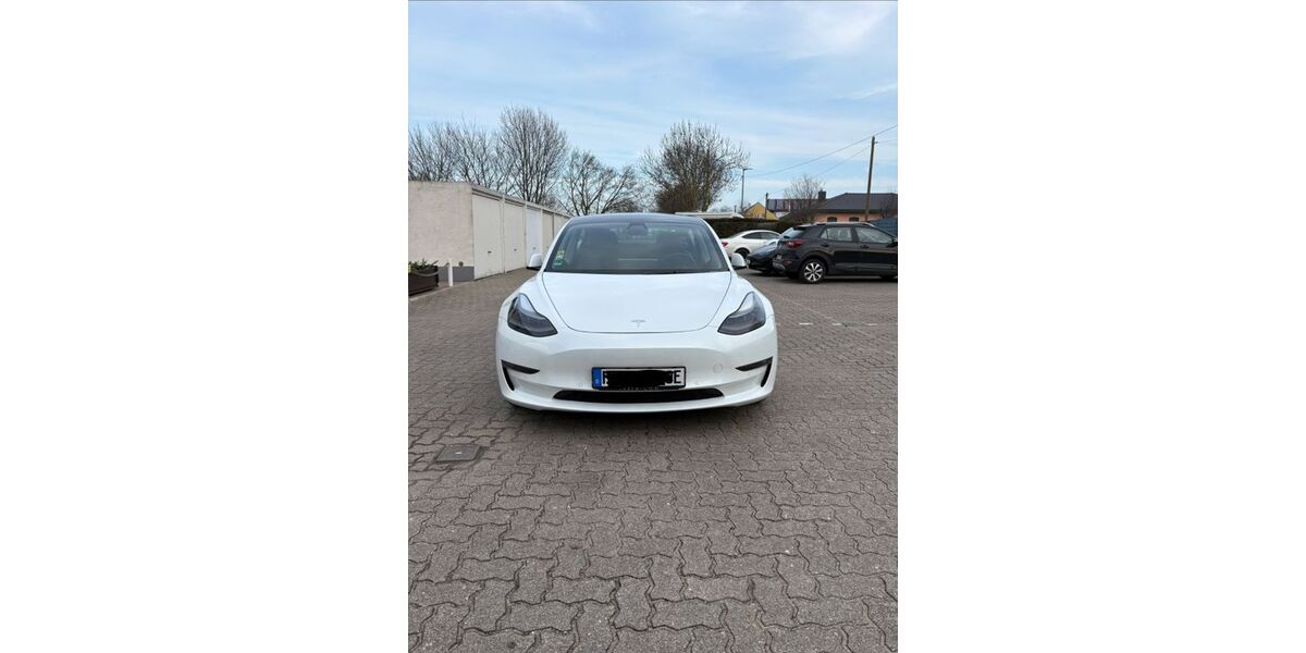 Tesla Model 3 101.000 km 21.999 &euro; Speyer 67346