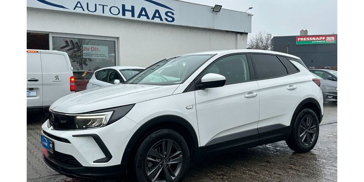 Opel Grandland (X) 89.800 km 17.990 &euro; Viernheim 68519