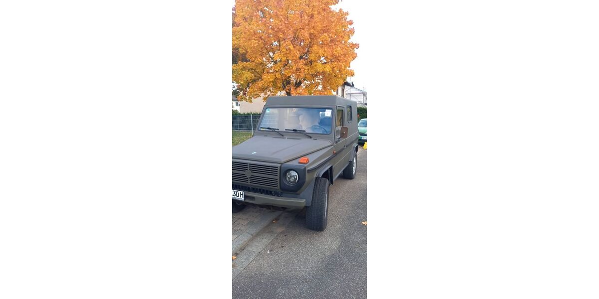 Mercedes-Benz G 230 74.000 km 34.900 &euro; Neustadt an der Weinstraße 67433