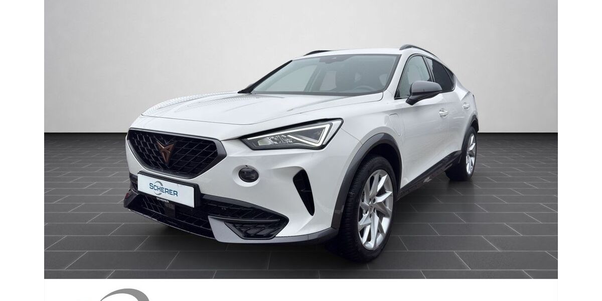 Cupra Formentor 28.061 km 24.900 &euro; Ludwigshafen 67063