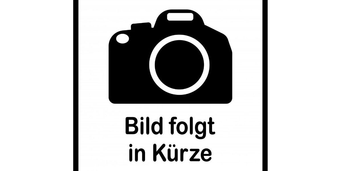 Ford Tourneo Courier 47.874 km 13.900 &euro; Speyer 67346