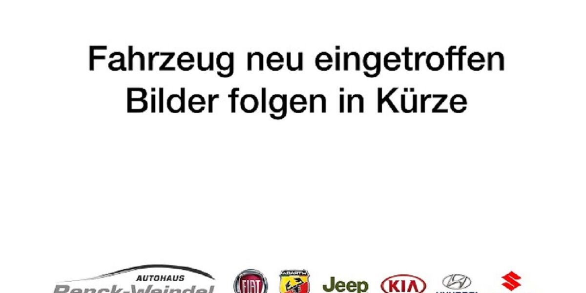 Fiat 500e 44.923 km 18.989 &euro; Speyer 67346