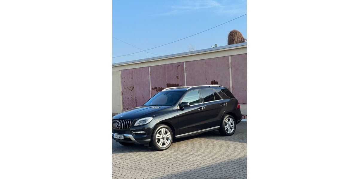 Mercedes-Benz ML 350 328.000 km 14.000 &euro; Ludwigshafen 67061