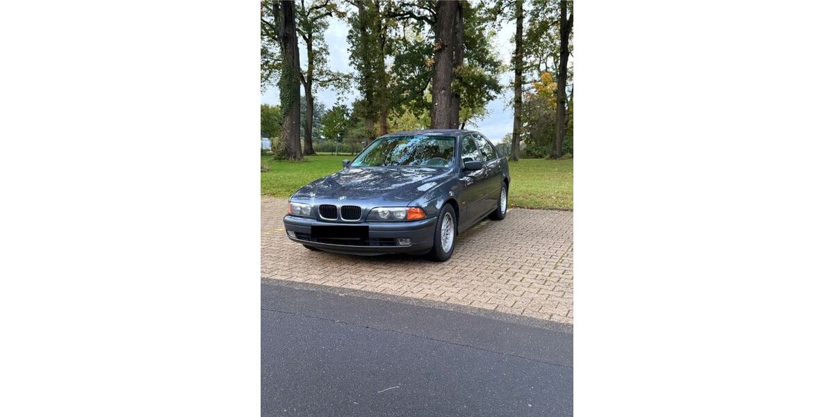 BMW 520 183.300 km 9.500 &euro; Dirmstein 67246