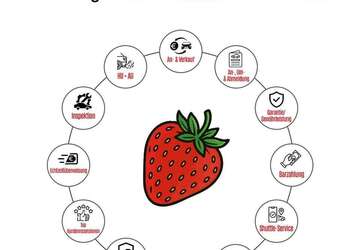 Subaru Legacy 136.041 km 12.990 &euro; Mannheim 68219