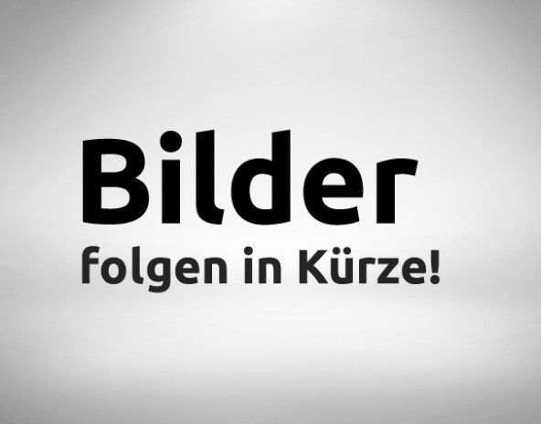 Ford Transit Custom 65.428 km 21.900 &euro; Speyer 67346