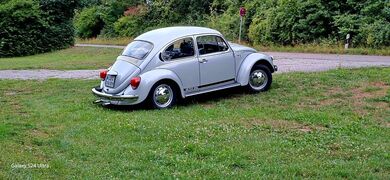 Gebrauchte VW Käfer