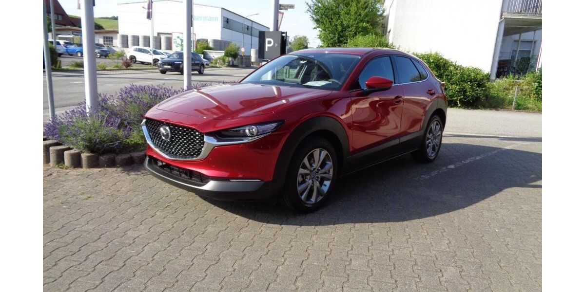 Mazda CX-30 2.169 km 30.990 &euro; Birkenau 69488