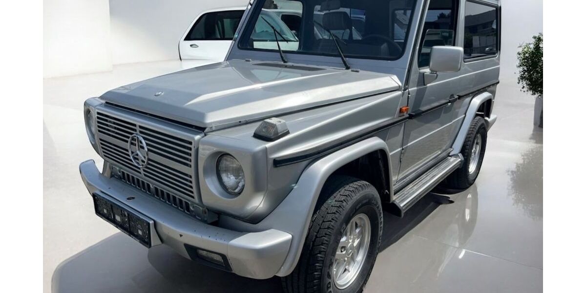 Mercedes-Benz G 300 80.000 km 19.999 &euro; Speyer 67346