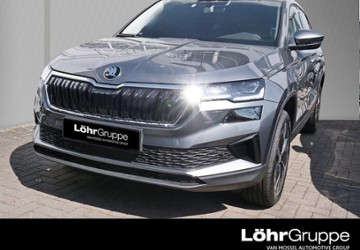 Skoda Karoq 1.001 km 38.450 &euro; Worms 67547
