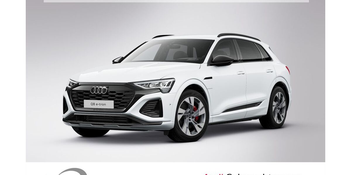 Audi Q8 e-tron 33.927 km 52.990 &euro; Ludwigshafen 67063