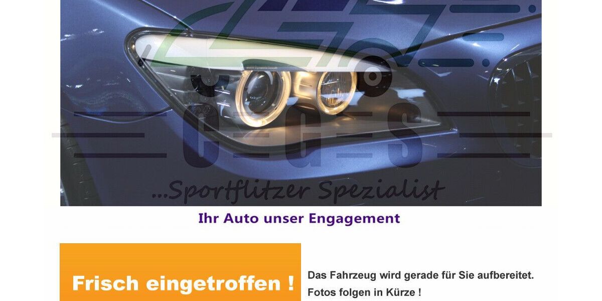 BMW 335 93.500 km 26.500 &euro; Altrip 67122