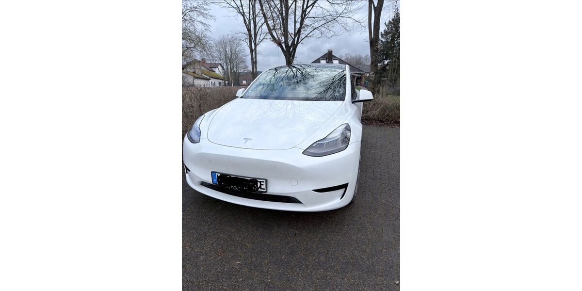 Tesla Model Y 53.000 km 29.000 &euro; Heppenheim 64646