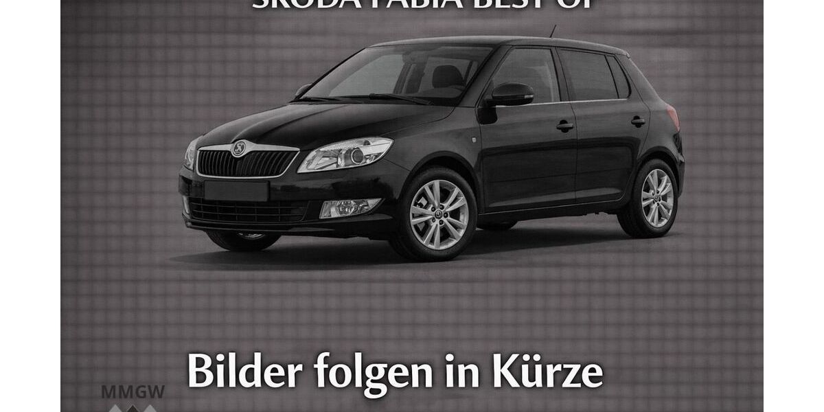 Skoda Fabia 47.882 km 7.990 &euro; Bensheim 64625