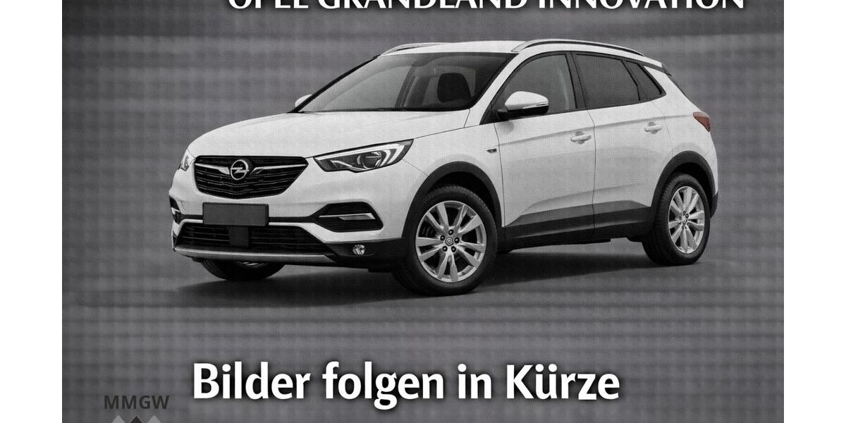 Opel Grandland (X) 120.417 km 12.490 &euro; Bensheim 64625