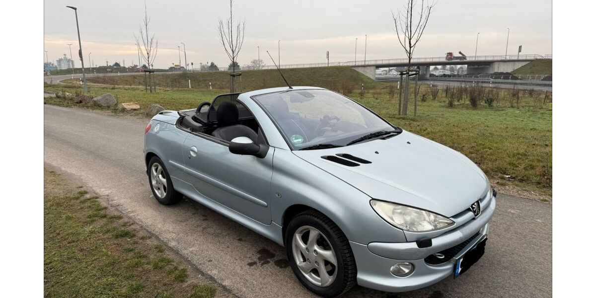 Peugeot 206 228.361 km 800 &euro; Worms 67547
