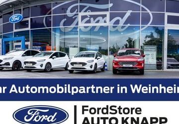 Ford Tourneo Custom 54.990 km 42.890 &euro; Weinheim 69469