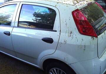 Fiat Punto 227.654 km 950 &euro; Mannheim 68309