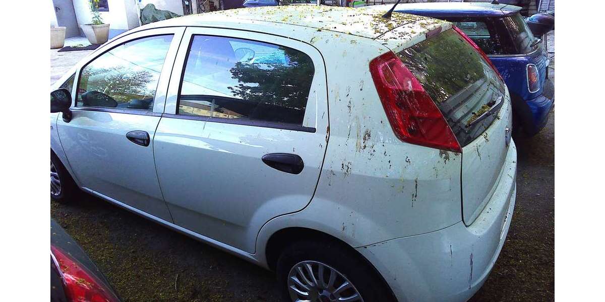 Fiat Punto 227.654 km 950 &euro; Mannheim 68309