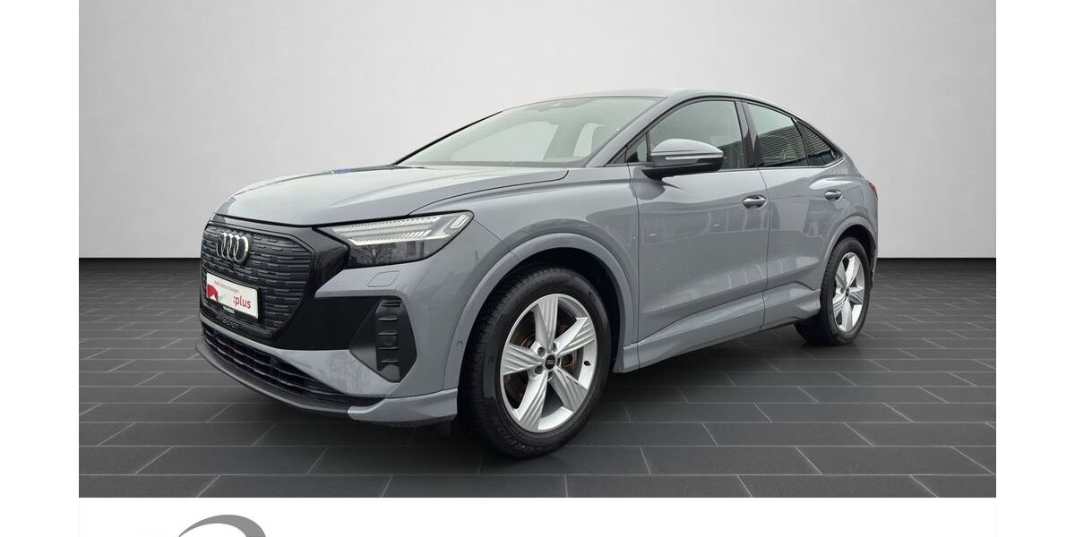 Audi Q4 e-tron 89.000 km 33.990 &euro; Neustadt a.d. Weinstraße 67433