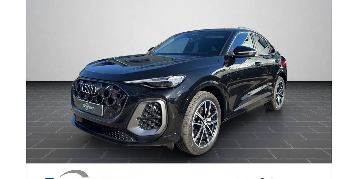 Audi Q5 9.900 km 66.666 &euro; Ludwigshafen 67063