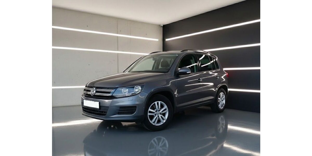 VW Tiguan 141.900 km 9.790 &euro; Frankenthal 67227