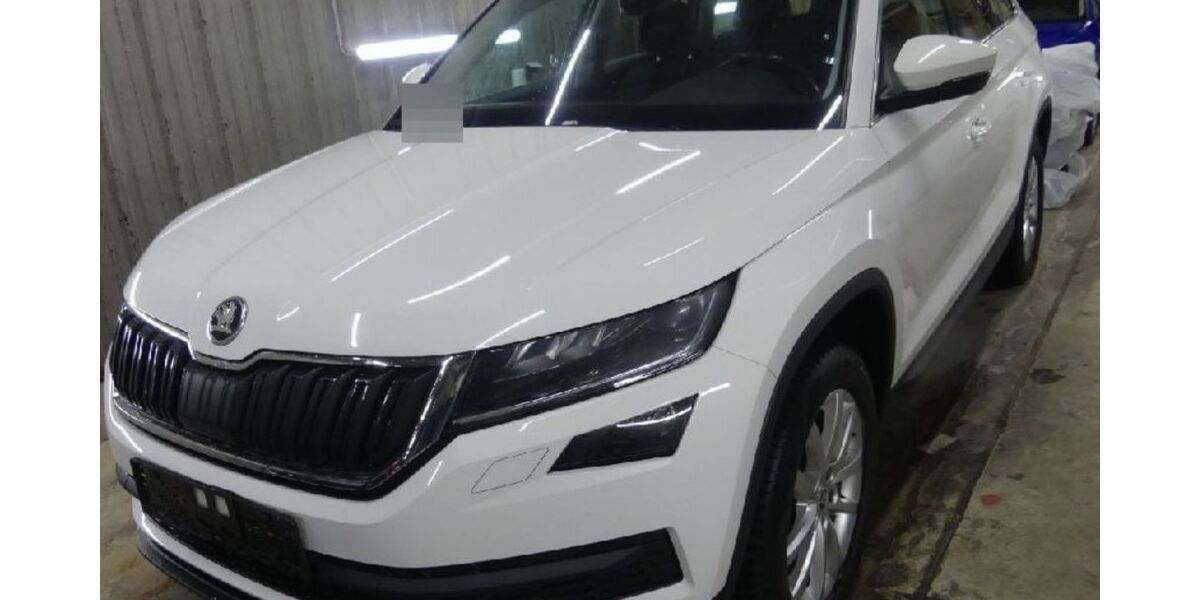 Skoda Kodiaq 182.000 km 18.802 &euro; Heidelberg 69123