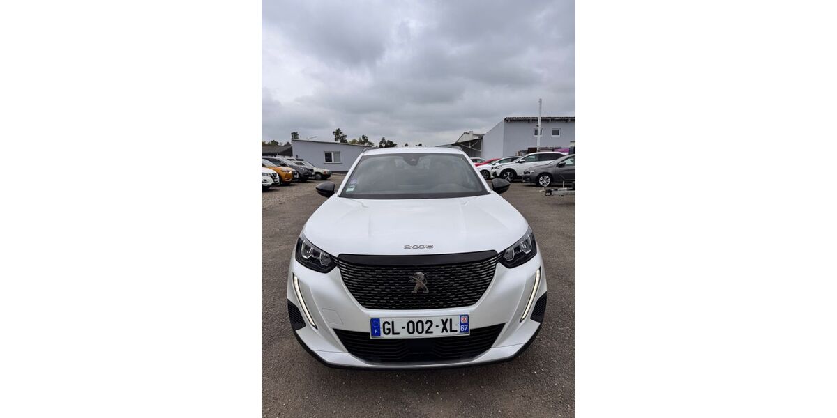 Peugeot 2008 89.000 km 14.900 &euro; Hassloch 67454