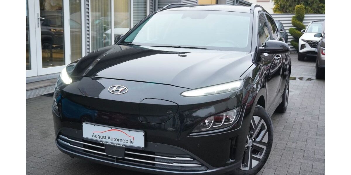 Hyundai KONA Elektro 68.000 km 15.670 &euro; Worms 67549