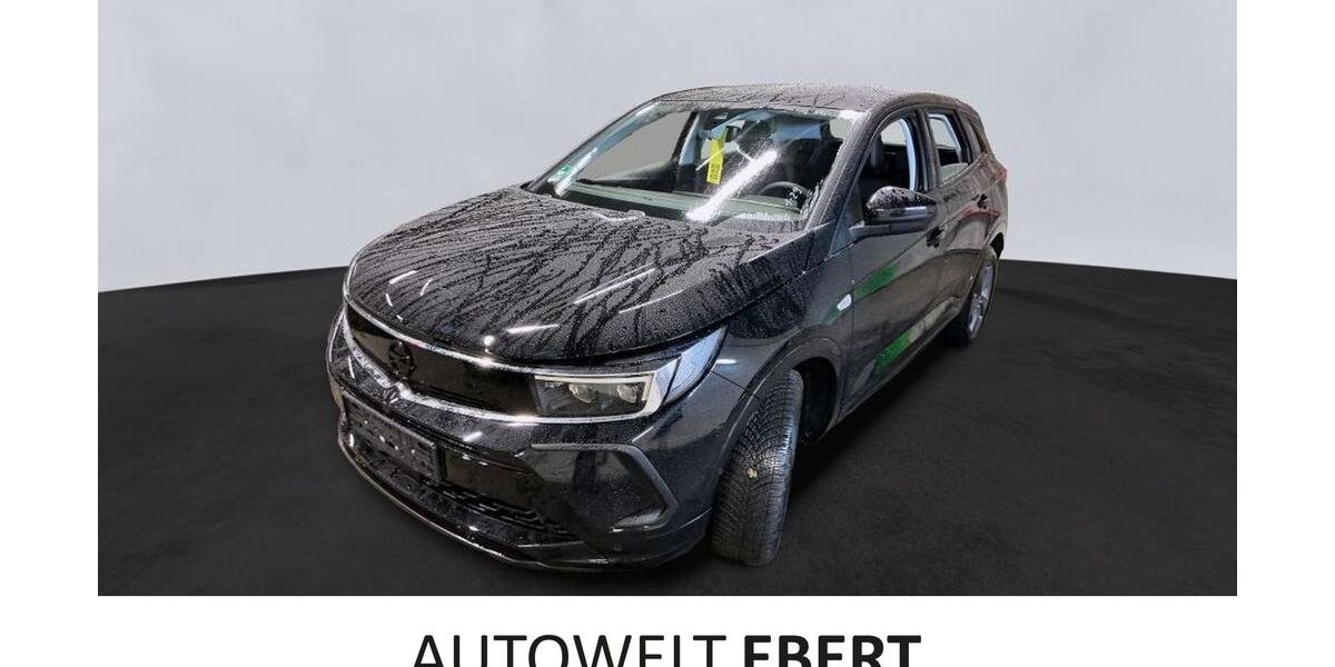 Opel Grandland (X) 10.900 km 23.890 &euro; Frankenthal 67227