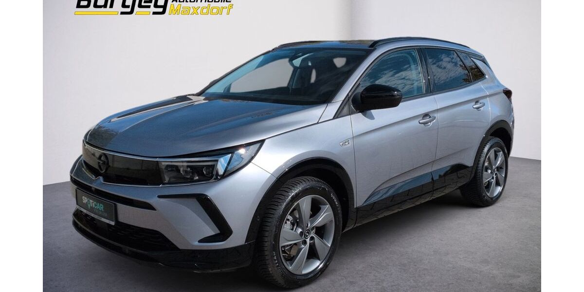 Opel Grandland (X) 8.800 km 24.980 &euro; Maxdorf 67133