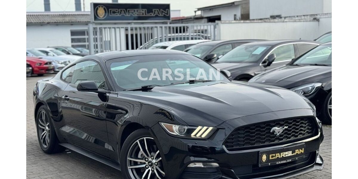Ford Mustang 138.000 km 19.998 &euro; Worms 67547
