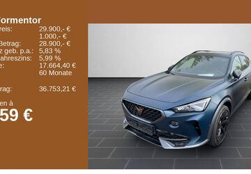 Cupra Formentor 62.198 km 29.700 &euro; Ladenburg 68526