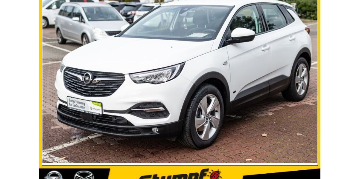 Opel Grandland (X) 41.410 km 19.995 &euro; Heppenheim 64646