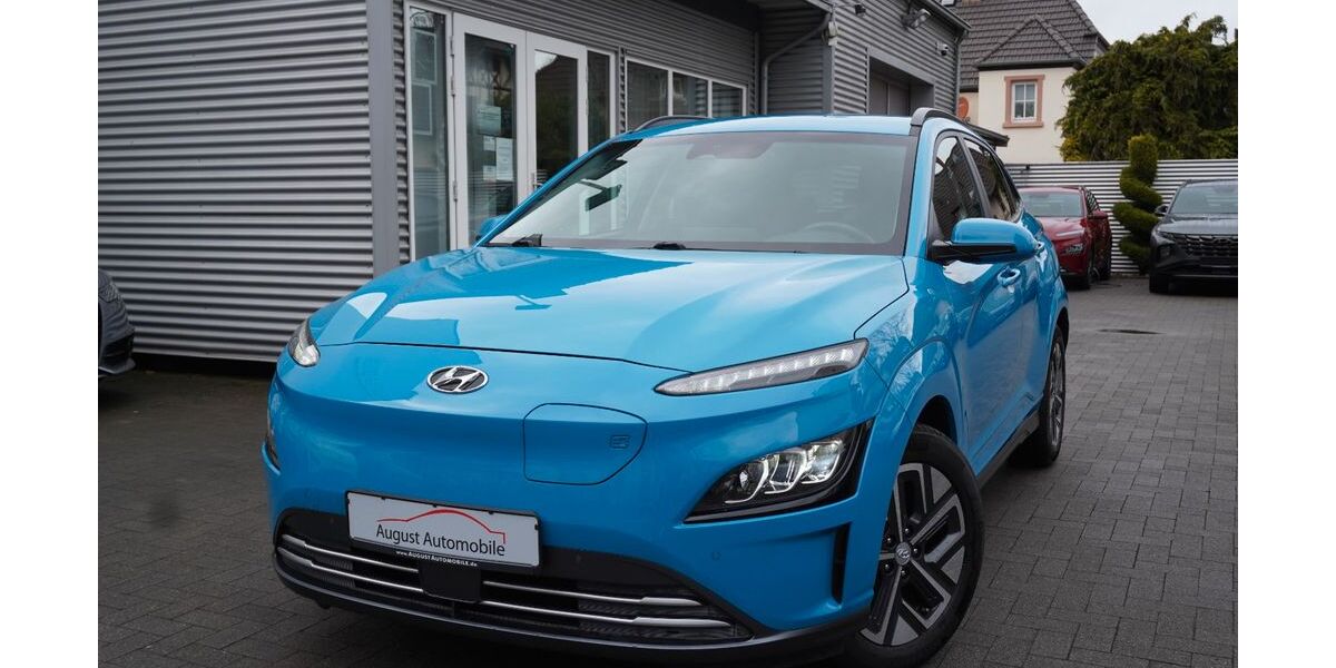 Hyundai KONA Elektro 61.000 km 14.970 &euro; Worms 67549