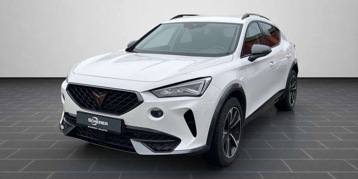 Cupra Formentor 57.434 km 28.990 &euro; Heidelberg 69123