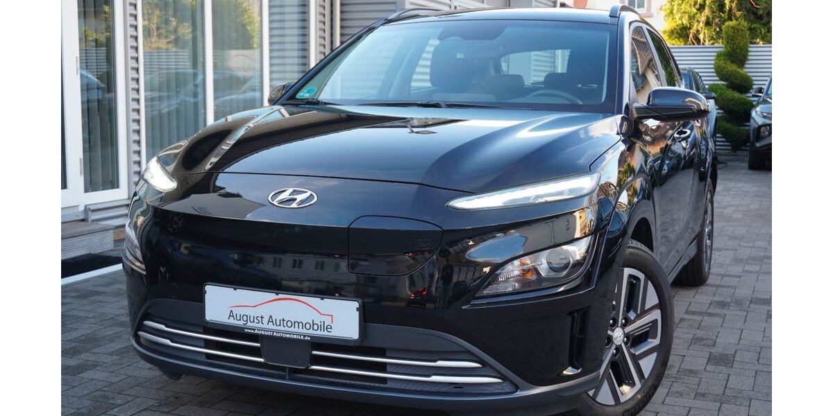 Hyundai KONA Elektro 66.000 km 14.670 &euro; Worms 67549