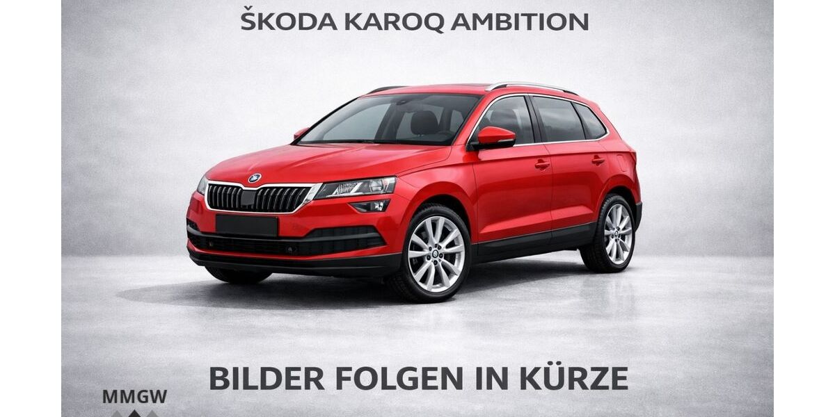Skoda Karoq 79.987 km 18.490 &euro; Bensheim 64625