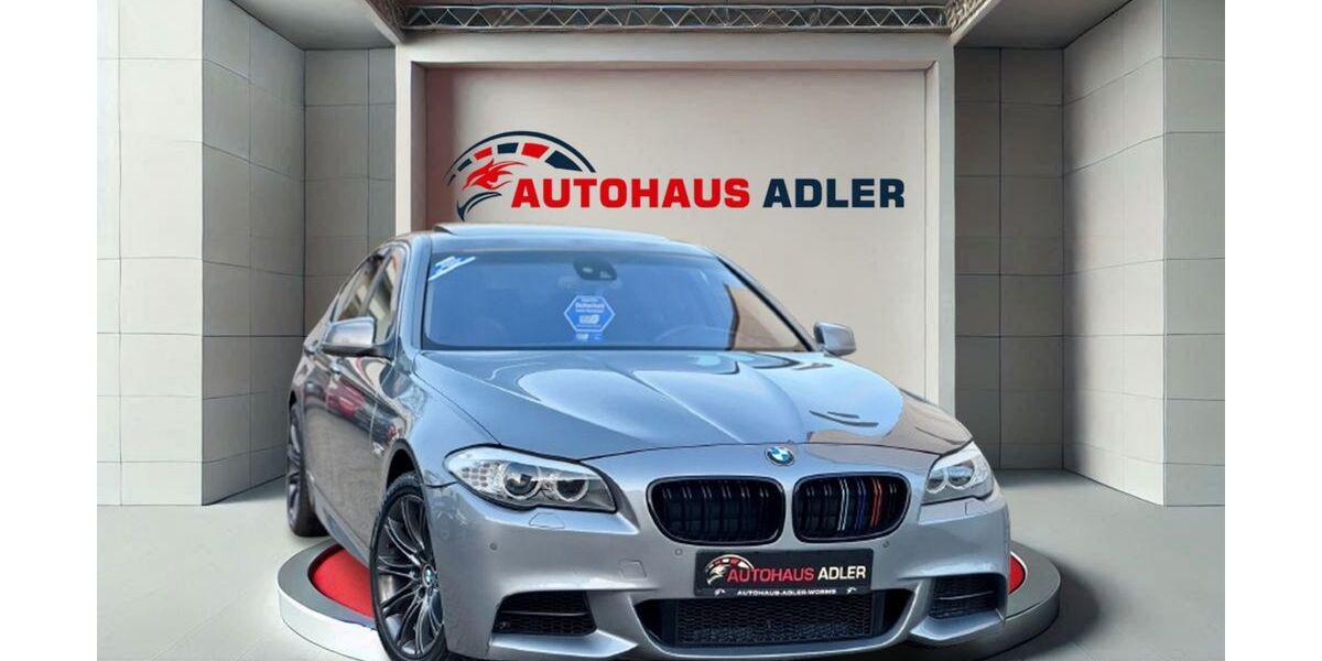 BMW 530 285.900 km 10.990 &euro; Worms 67549