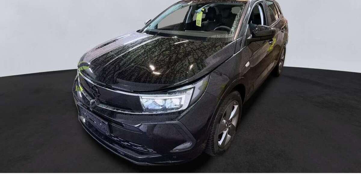 Opel Grandland X 18.400 km 23.690 &euro; Bensheim 64625