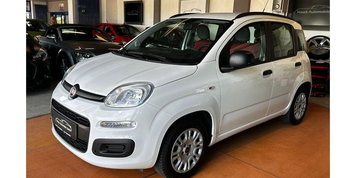 Fiat Panda 73.665 km 5.990 &euro; Bad Dürkheim 67098